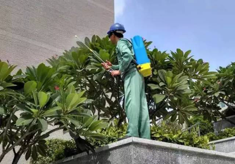 机关生活服务:提升工作与生活的品质
